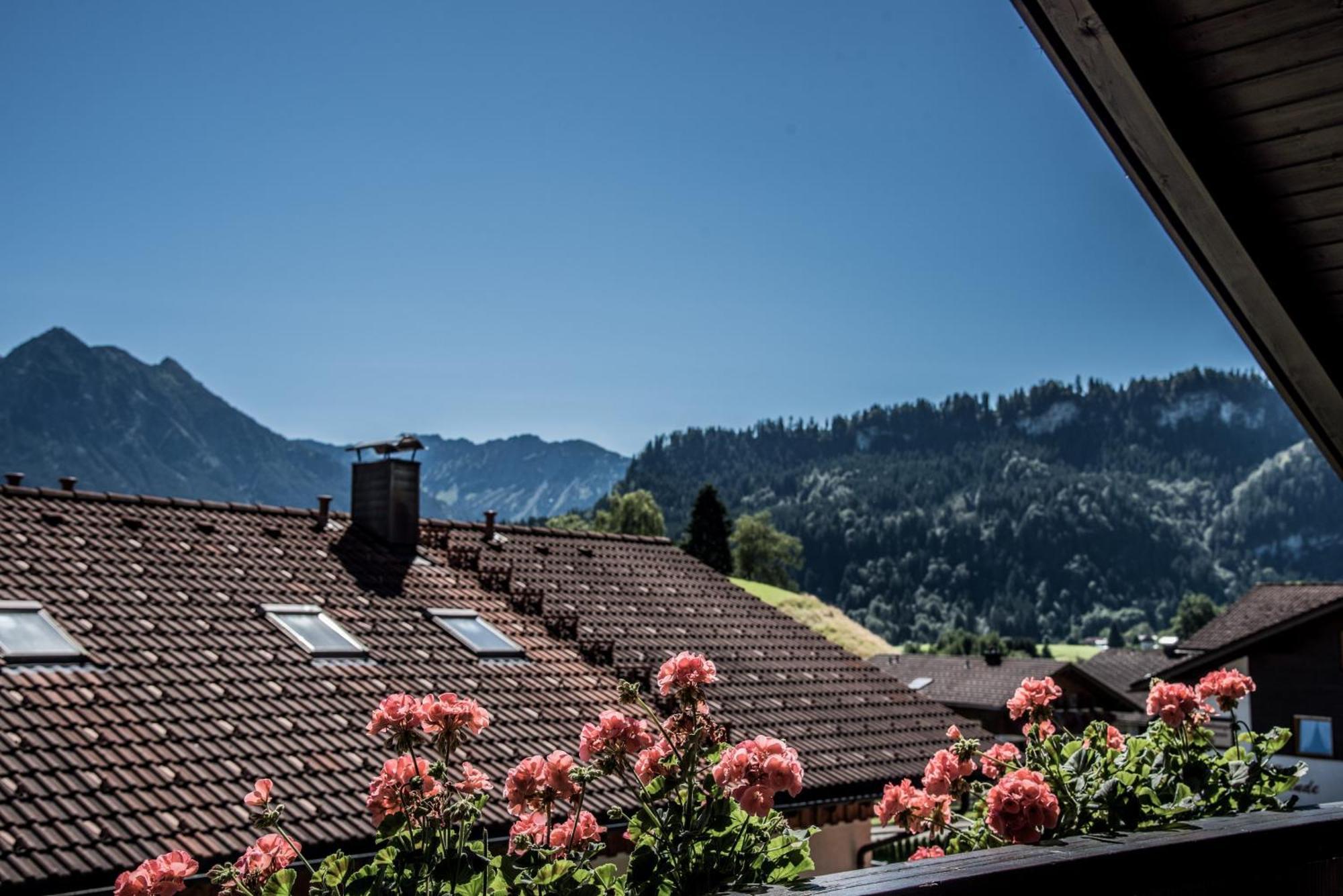 Haus Susanne - Top-Ferienwohnungen - Sommer-Bergbahn Inklusive أوبيرميسلشتاين المظهر الخارجي الصورة