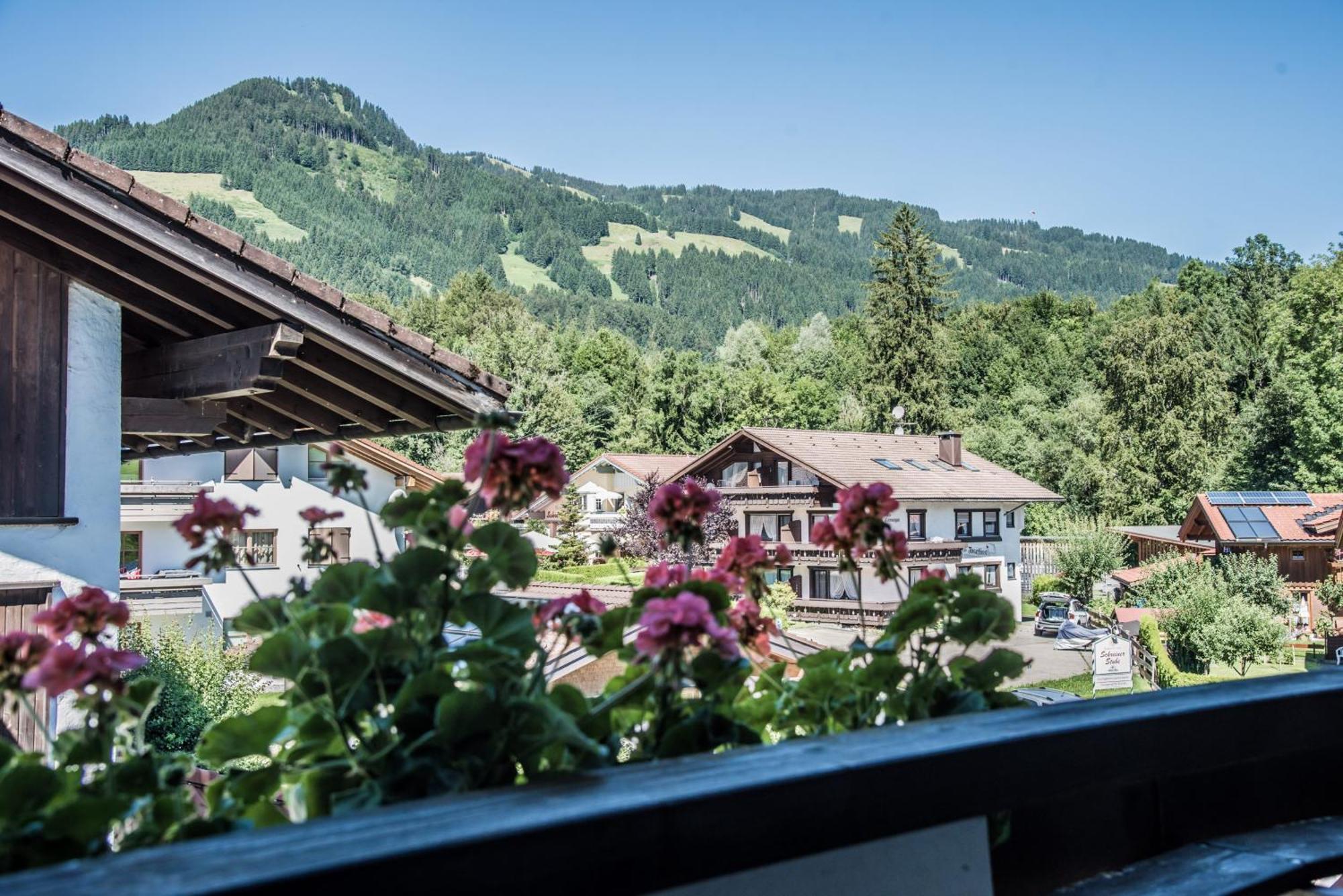 Haus Susanne - Top-Ferienwohnungen - Sommer-Bergbahn Inklusive أوبيرميسلشتاين المظهر الخارجي الصورة